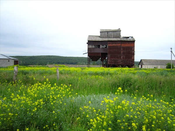 Заброшенное сельхоз строение у Ерыклинска